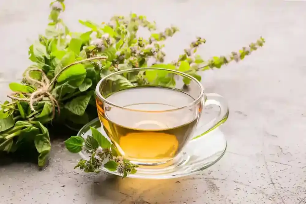 Lemon Balm Recipe for Weight Loss